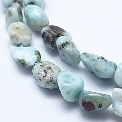 Natural Larimar Bead Strands&nbsp;G-E483-47