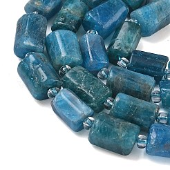 Natural Apatite Beads Strands&nbsp;G-C270-K04