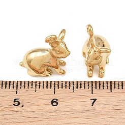 304 Stainless Steel Pendants&nbsp;SA-CBA02E8-10G
