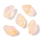 Transparent Spray Paint Glass Beads, Conch, Bisque, 15~16x11x10~11mm, Hole: 1mm