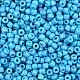 Baking Paint Glass Seed Beads&nbsp;SEED-S001-K10-2