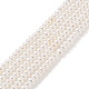 Electroplated Shell Pearl Beads Strands&nbsp;BSHE-C006-04A-1