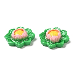 Opaque Resin Cabochons&nbsp;CRES-M017-01B