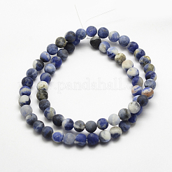 Natural Sodalite Beads Strands&nbsp;G-J364-01-8mm