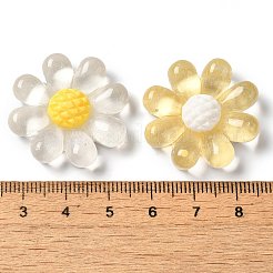 Translucent Resin Decoden Cabochons&nbsp;RESI-M041-08