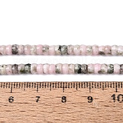 Natural Rhodonite Beads Strands&nbsp;G-Q606-46A-15