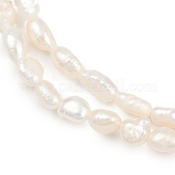 Natural Cultured Freshwater Pearl Beads Strands&nbsp;PEAR-P064-20F-02A