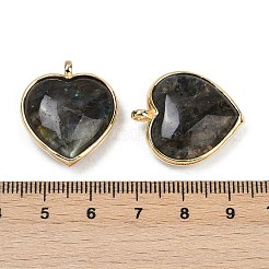 Natural & Synthetic Mixed Gemstone Pendants&nbsp;G-K347-10G