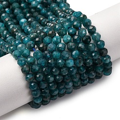 Natural Apatite Beads Strands&nbsp;G-A276-C08-4mm-02