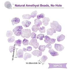 30Pcs Rough Raw Natural Amethyst Beads&nbsp;G-SC0001-66