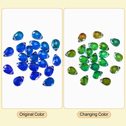 Glass Charms&nbsp;GLAA-TAC0012-28A