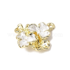 Alloy Enamel Pendants&nbsp;FIND-E062-03G-A