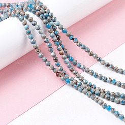 Assembled Natural Imperial Jasper & Synthetic Opal Beads Strands&nbsp;G-K317-A19-02