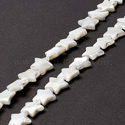 Natural Trochid Shell/Trochus Shell Beads&nbsp;SSHEL-O001-25D-01