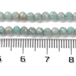 Natural Amazonite Beads Strands&nbsp;G-A235-A04-01