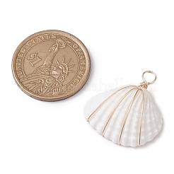 Copper Wire Wrapped Shell Pendants&nbsp;PALLOY-JF02706