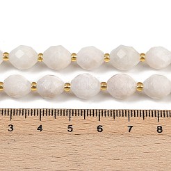 Natural White Moonstone Beads Strands&nbsp;G-N342-149I-13