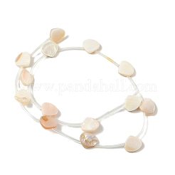 Natural Freshwater Shell Beads Strands&nbsp;SHEL-K006-52B
