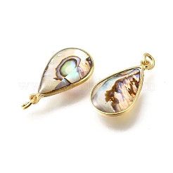 Natural Paua Shell & Epoxy Resin Pendants&nbsp;KK-E794-02G-02