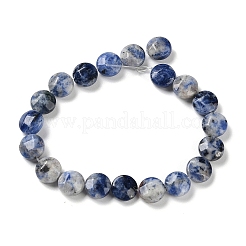 Natural Blue Spot Jasper Beads Strands&nbsp;G-K357-B14-01