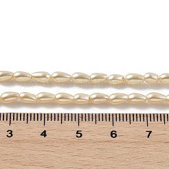 Polished Shell Pearl Beads Strands&nbsp;BSHE-L042-A01-01