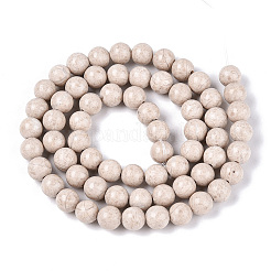 Dyed Natural Fossil Beads Strands&nbsp;G-T139-6mm-66A