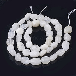 Natural Rainbow Moonstone Beads Strands&nbsp;X-G-Q961-27