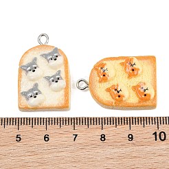 Opaque Resin Imitation Food Pendants&nbsp;RE-CBA0E2-03