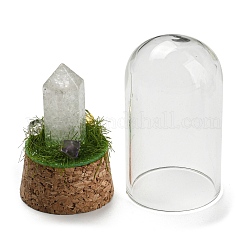 Natural Quartz Crystal Bullet Display Decoration with Glass Dome Cloche Cover&nbsp;DJEW-B009-02H