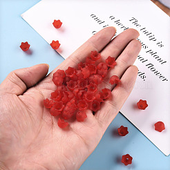 Transparent Acrylic Beads Caps&nbsp;PL543-6