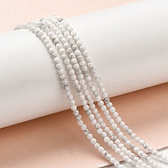 Natural Howlite Beads Strands&nbsp;G-E608-A01-A