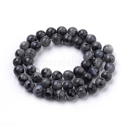 Natural Larvikite Beads Strands&nbsp;X-G-S259-06-6mm