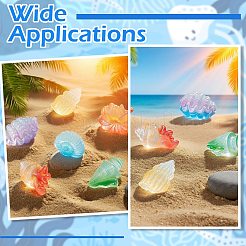 30Pcs 6 Styles Luminous Resin Conch Display Decorations&nbsp;DJEW-CJ0001-37