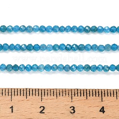 Natural Apatite Beads Strands&nbsp;G-Z106-A01-2mm