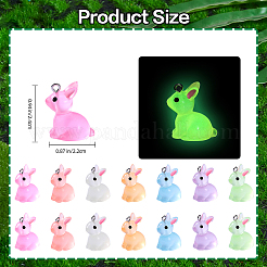 70Pcs 7 Colors Luminous Transparent Resin Pendants&nbsp;RESI-SZ0003-35