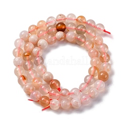 Natural Cherry Blossom Agate Beads Strands&nbsp;G-B130-6mm-02