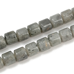 Natural Labradorite Beads Strands&nbsp;G-G275-D10-10x10mm