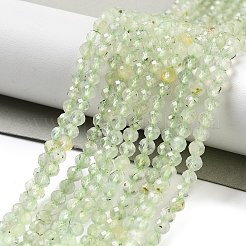 Natural Prehnite Beads Strands&nbsp;LS-G-G161-A13-03