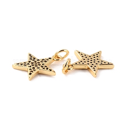 Brass Micro Pave Clear Cubic Zirconia Charms&nbsp;ZIRC-Z018-15G-C
