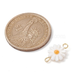 Natural Freshwater Shell Connector Charms&nbsp;PALLOY-JF02443