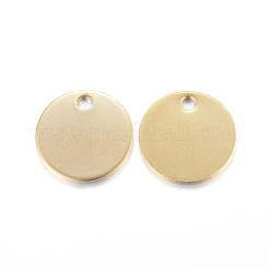 Ion Plating(IP) 304 Stainless Steel Charms&nbsp;X-STAS-G122-21G