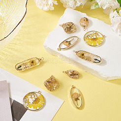 10Pcs 5 Styles Epoxy Resin Pendants&nbsp;FIND-TA0008-97