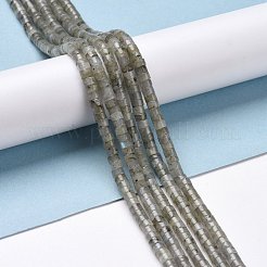 Natural Labradorite Beads Strands&nbsp;G-P468-16