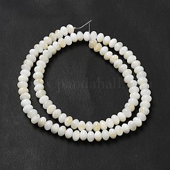 Natural Freshwater Shell Beads Strands&nbsp;BSHE-E026-15B-01