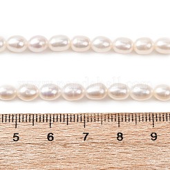 Natural Cultured Freshwater Pearl Beads Strands&nbsp;PEAR-F020-01B