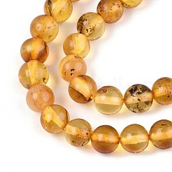 Natural Amber Beads Strands&nbsp;G-K387-D02-03