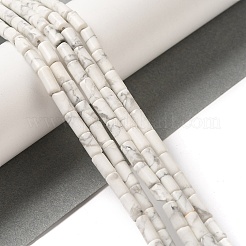 Natural Howlite Beads Strands&nbsp;G-B091-A17-01