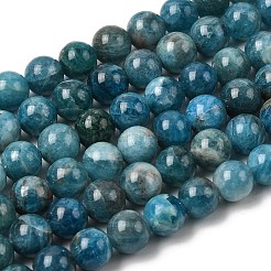 Natural Apatite Beads Strands&nbsp;G-F674-04-8mm