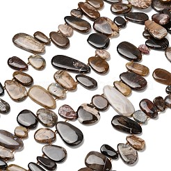 Natural Petrified Wood Beads Strands&nbsp;G-C253-06