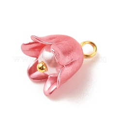 Spray Paint ABS Plastic Imitation Pearl Charms&nbsp;PALLOY-JF01603-03